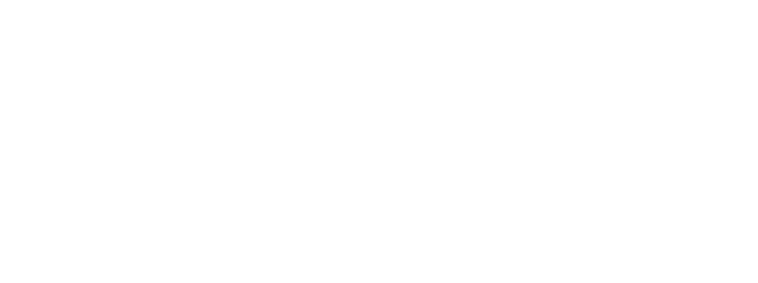 Lisa Joanes